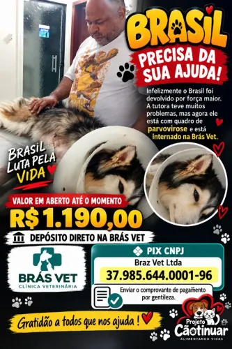 Ajude Brasil