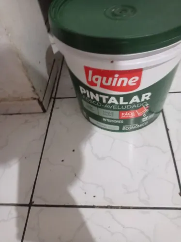 Tinta
