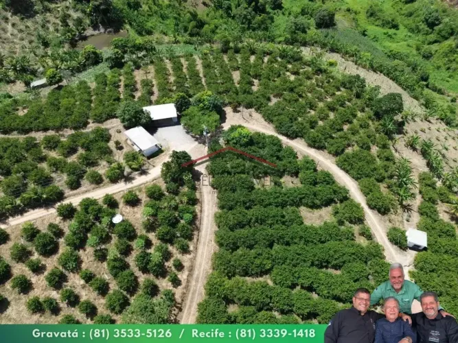 Sítio 8,1 ha à Venda em Chã Grande/PE