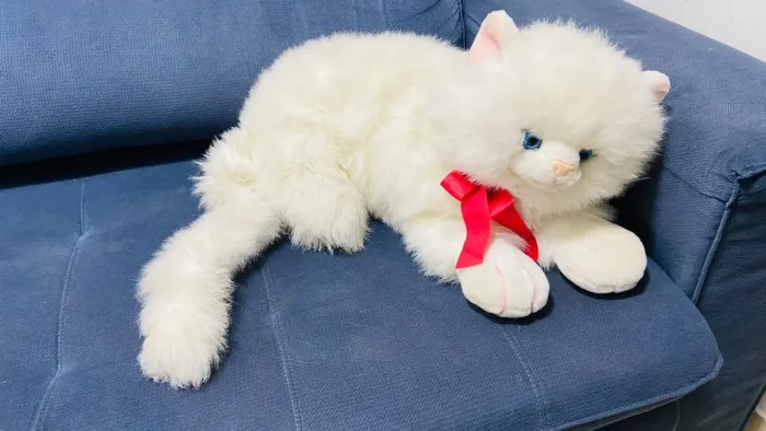 Gato de Pelúcia