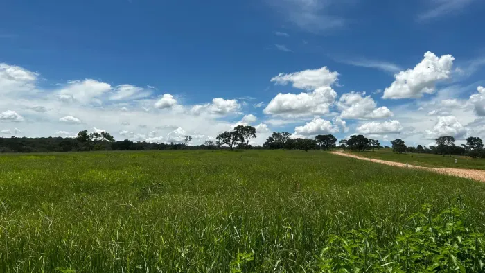 Vendo Terrenos para Comércios ou Indústrias na BR135 com Financiamento Facilitado