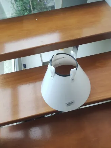 Colar elizabetano n 5 para pet, novo, sem uso