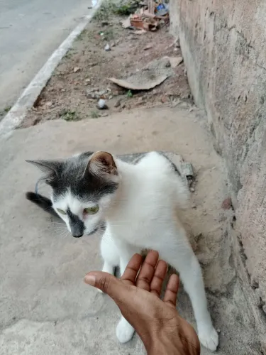 Doação