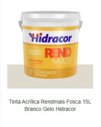Pintor profissional 