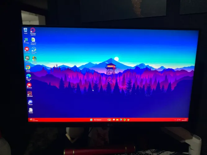 TELA LG 23,8 POLEGADAS 75 HZ EXCELENTE ESTADO 