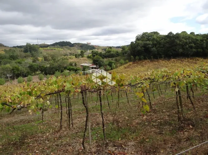 Área de terra no 8 da Graciema