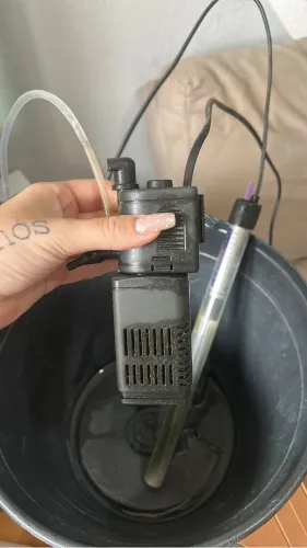 Filtro aquário