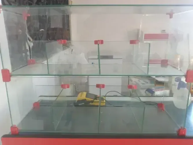  bomboniere/ expositor de vidro