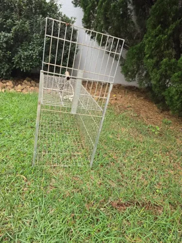 GAIOLA DE CONTENÇÃO / MANEJO VETERINÁRIO