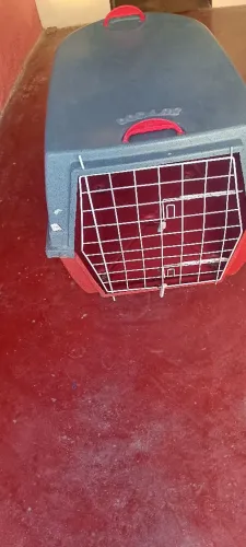 Caixa de transporte pra cachorro