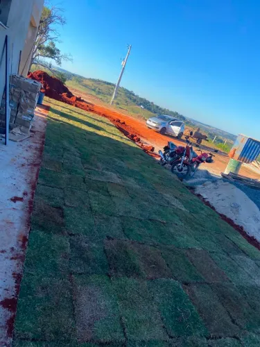 Grama verdinha direta do produtor!