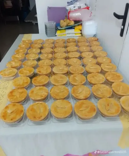 Forneço coxinha congeladas sabores camarão frango carne seca