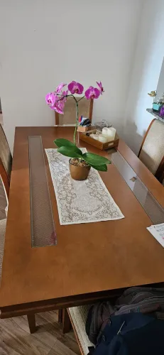 Conjunto de jantar