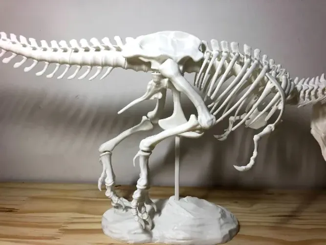 Esqueleto Dinossauro T-rex - Impressão 3d