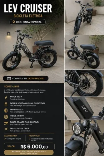Bike lev