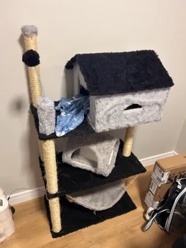 Arranhador Casinha para Gatos