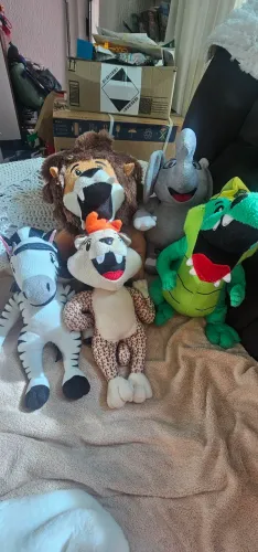 Coleção ursos Mundo Animal 
