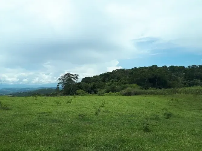 Fazenda Vale do Paraíba 16,5 alqueires (40ha) (apenas arrendo)