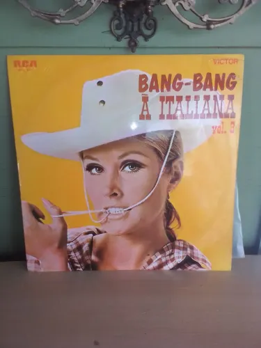 Disco de vinil 