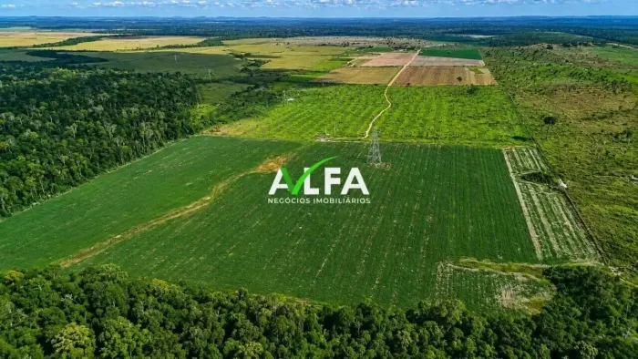 Fazenda Produtiva à Venda 480 Hectares, à venda por R$ 12.000.000 - Zona Rural - Triunfo/