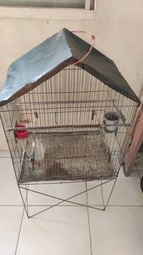 Vendo gaiola