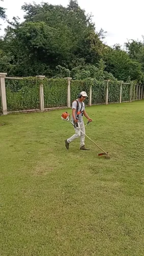 O toque de natureza que vc merece 
