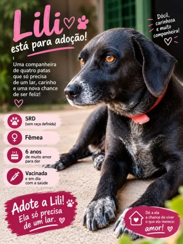 Doação responsável fêmea