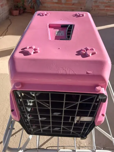 Casinha de transporte