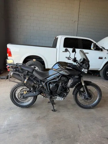 Tiger 800
