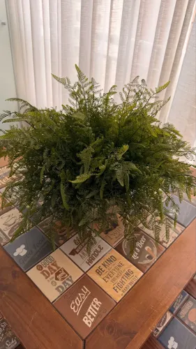 Vaso Planta 