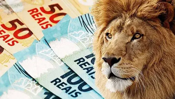 Declaração Imposto de Renda e Declaração MEI