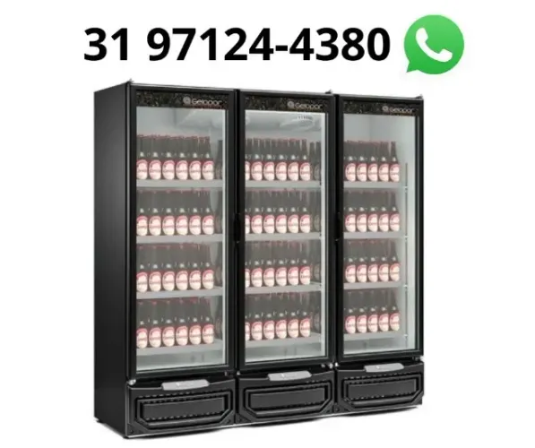 Refrigerador Expositor 3 Portas Gelopar 220v