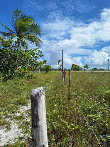 Terreno de esquina na beira do asfalto