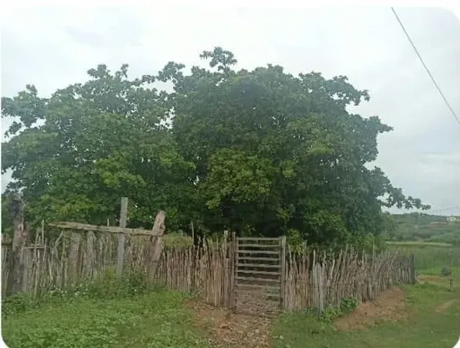 Vendo ou troco terreno em Jardim São José zona rural Russas.