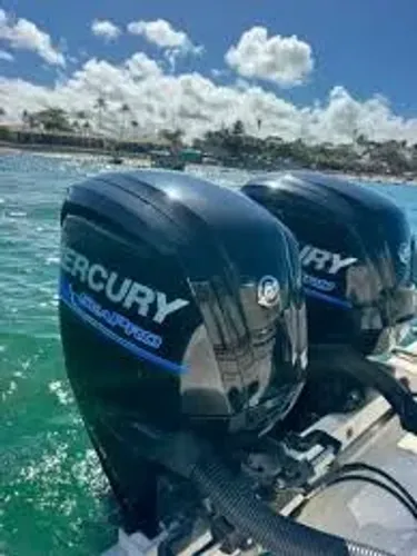 Parelha Mercury 115HP Sea Pro - Motor Novo