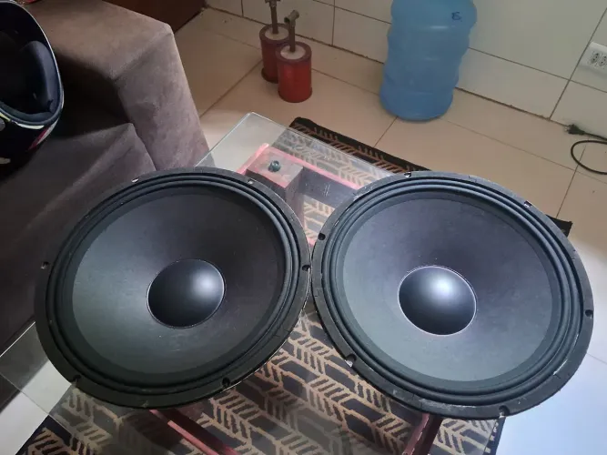 Vendo dois alto falantes de 15 pol em ótimo estado de novo