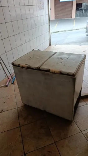 Freezer 220v