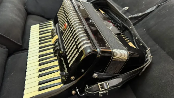 Acordeon 120 baixos parrot excelente estado elétrificada