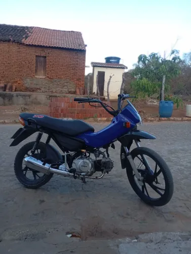 Pop 100 em dias
