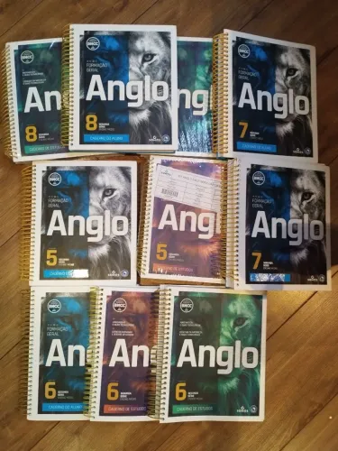 Lote completo com 12 apostilas Anglo 2ª Série do Ensino Médio (Edição 2024) <br>