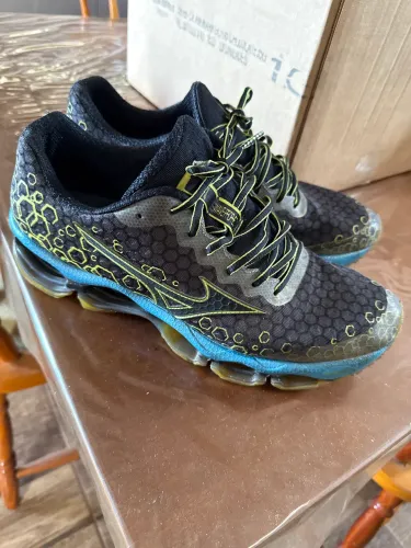 Mizuno prophecy 44