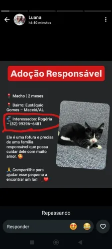 Adoção responsável