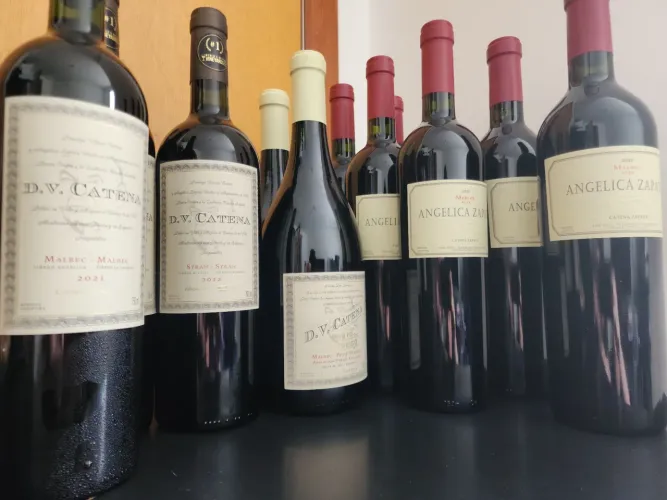 COLEÇÃO CATENA ZAPATA + ADEGA MIDEA 34 GARRAFAS ? PACOTE COMPLETO