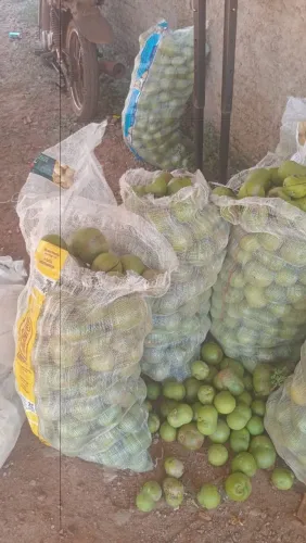 Compra e venda de pequi