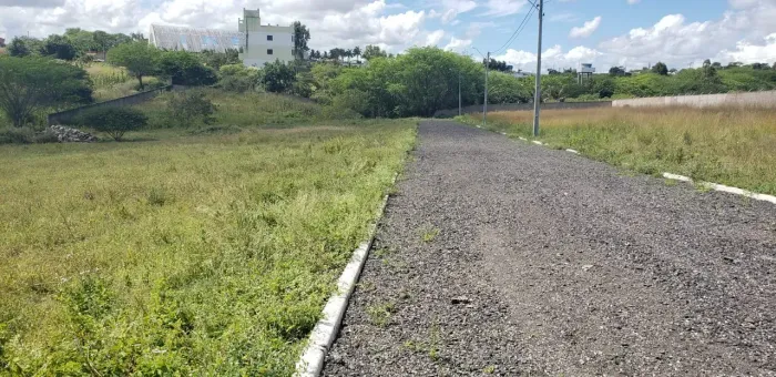 Terreno para venda com 528 metros quadrados em Saire - Sairé - PE