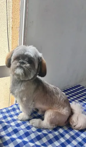 Doação 