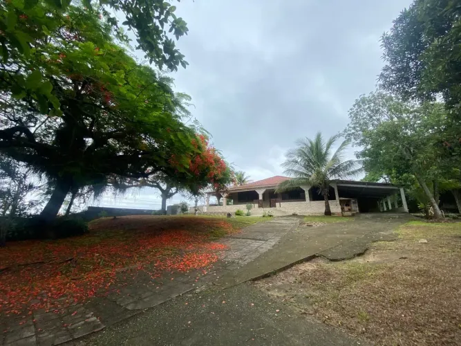 Lote/Terreno  Área com 4.353m²  ID: 10538/*