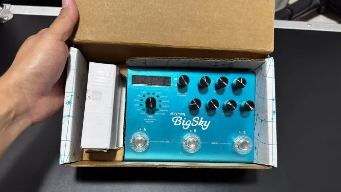 Strymon bigsky