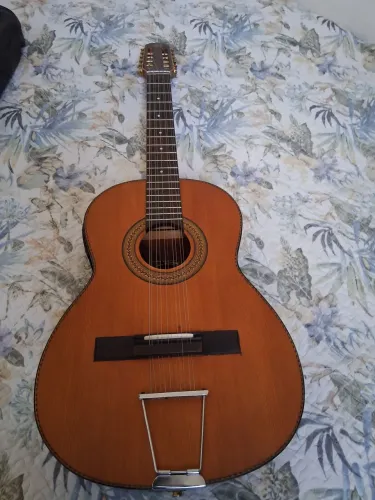 Viola Rosini
