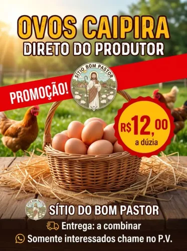 Ovos Caipira direto da Roça de Galinhas Felizes